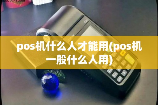 pos机什么人才能用(pos机一般什么人用)