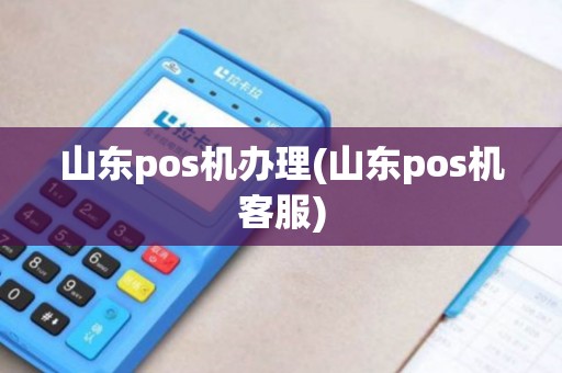 山东pos机办理(山东pos机客服)