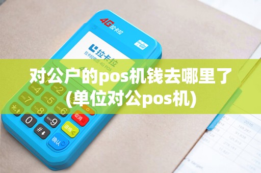 对公户的pos机钱去哪里了(单位对公pos机)