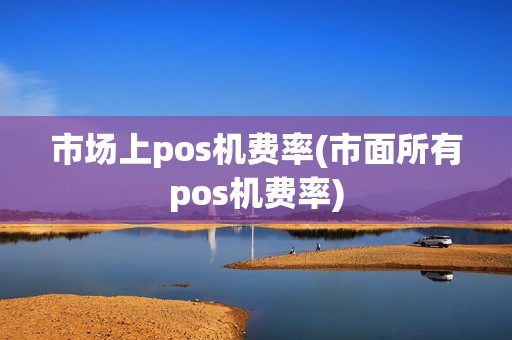 市场上pos机费率(市面所有pos机费率)