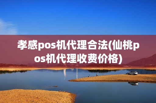 孝感pos机代理合法(仙桃pos机代理收费价格)
