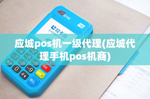 应城pos机一级代理(应城代理手机pos机商)