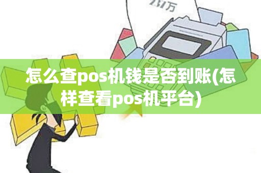 怎么查pos机钱是否到账(怎样查看pos机平台)