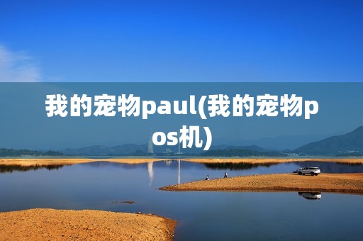 我的宠物paul(我的宠物pos机)