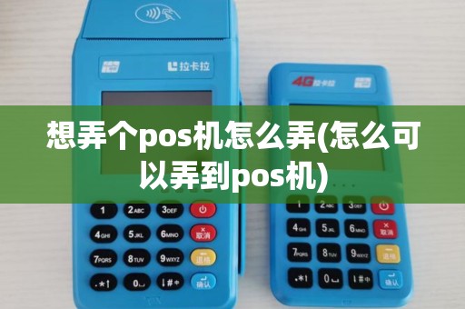 想弄个pos机怎么弄(怎么可以弄到pos机)