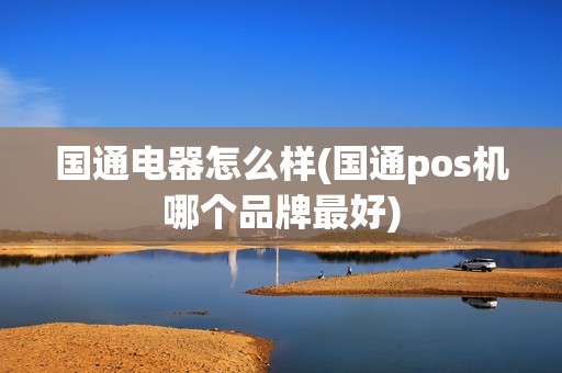 国通电器怎么样(国通pos机哪个品牌最好)