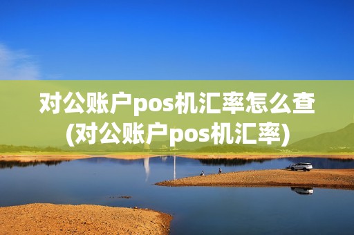 对公账户pos机汇率怎么查(对公账户pos机汇率)