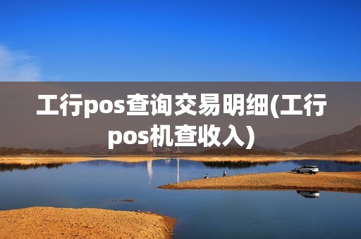 工行pos查询交易明细(工行pos机查收入)
