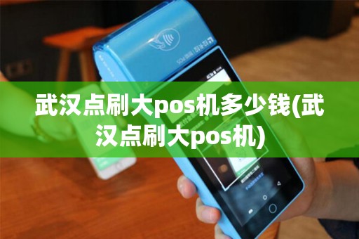 武汉点刷大pos机多少钱(武汉点刷大pos机)