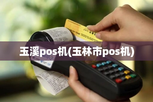 玉溪pos机(玉林市pos机)