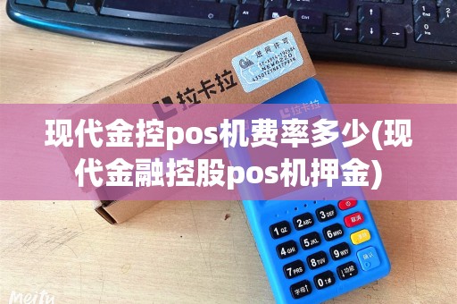 现代金控pos机费率多少(现代金融控股pos机押金)