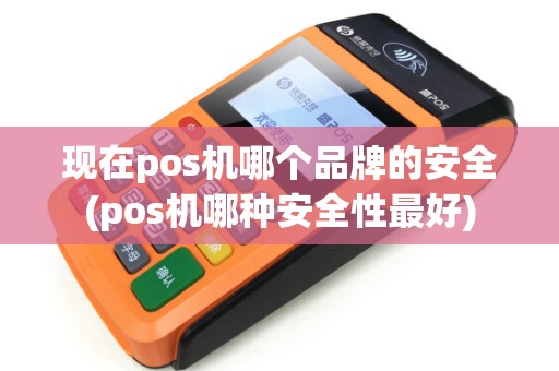 现在pos机哪个品牌的安全(pos机哪种安全性最好)