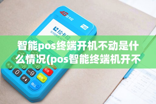 智能pos终端开机不动是什么情况(pos智能终端机开不开机)