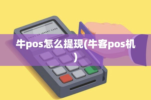 牛pos怎么提现(牛客pos机)