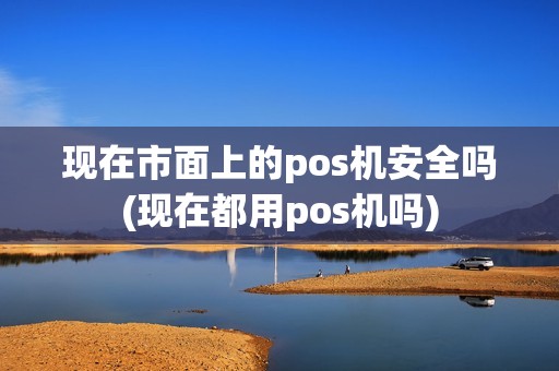 现在市面上的pos机安全吗(现在都用pos机吗)
