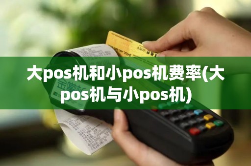 大pos机和小pos机费率(大pos机与小pos机)