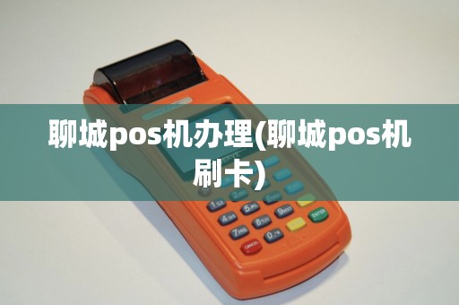 聊城pos机办理(聊城pos机刷卡)