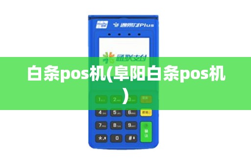 白条pos机(阜阳白条pos机)