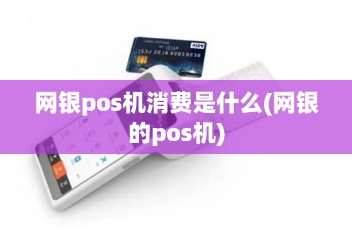 网银pos机消费是什么(网银的pos机)