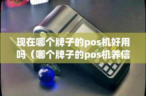 现在哪个牌子的pos机好用吗（哪个牌子的pos机养信用卡好）