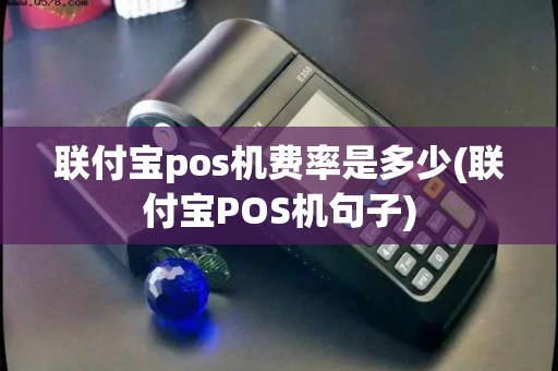 联付宝pos机费率是多少(联付宝POS机句子)