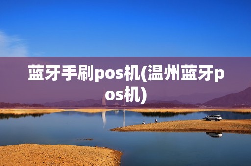 蓝牙手刷pos机(温州蓝牙pos机)