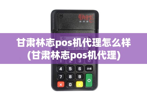 甘肃林志pos机代理怎么样(甘肃林志pos机代理)