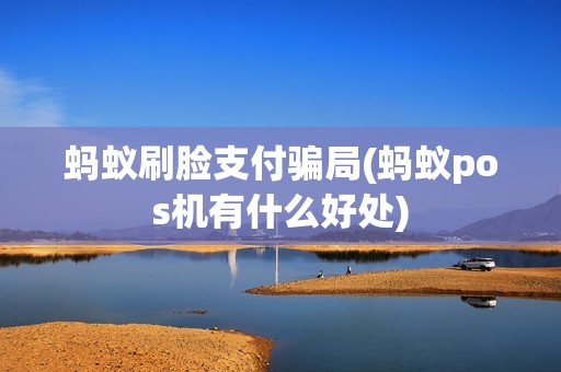蚂蚁刷脸支付骗局(蚂蚁pos机有什么好处)