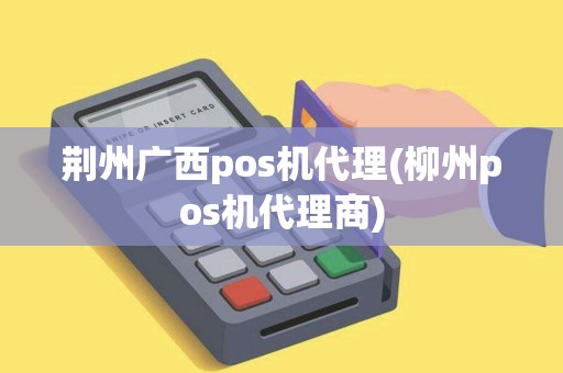 荆州广西pos机代理(柳州pos机代理商)