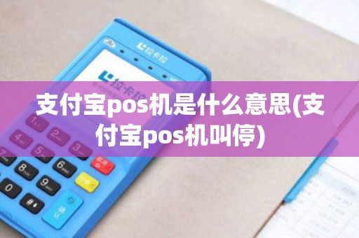 支付宝pos机是什么意思(支付宝pos机叫停)