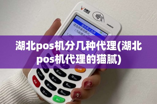 湖北pos机分几种代理(湖北pos机代理的猫腻)