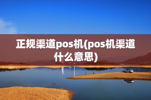 正规渠道pos机(pos机渠道什么意思)