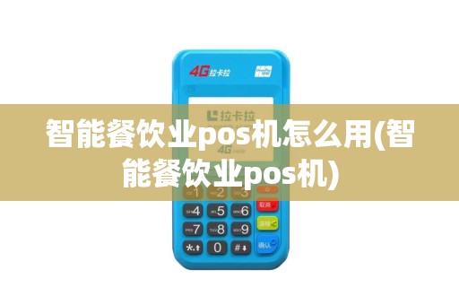 智能餐饮业pos机怎么用(智能餐饮业pos机)