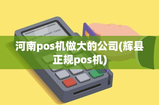 河南pos机做大的公司(辉县正规pos机)
