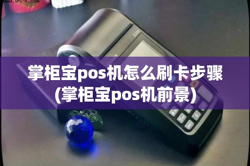 掌柜宝pos机怎么刷卡步骤(掌柜宝pos机前景)