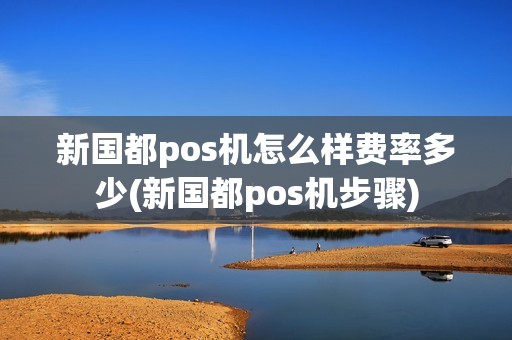 新国都pos机怎么样费率多少(新国都pos机步骤)