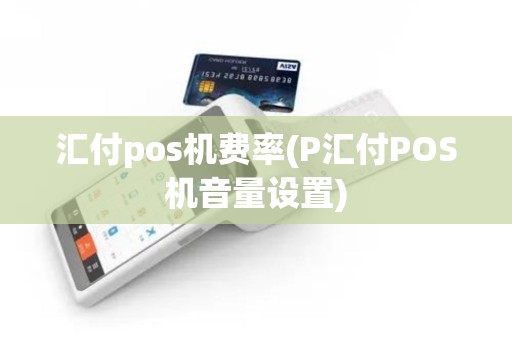 汇付pos机费率(P汇付POS机音量设置)