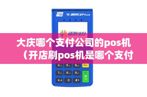 大庆哪个支付公司的pos机（开店刷pos机是哪个支付公司的）