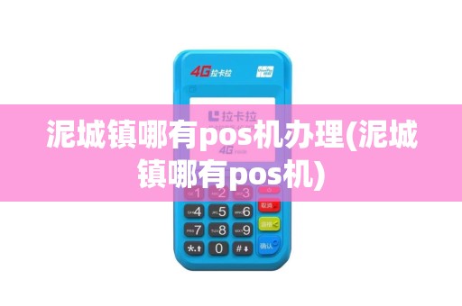 泥城镇哪有pos机办理(泥城镇哪有pos机)