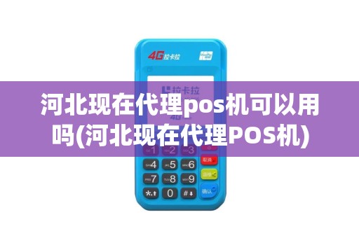 河北现在代理pos机可以用吗(河北现在代理POS机)