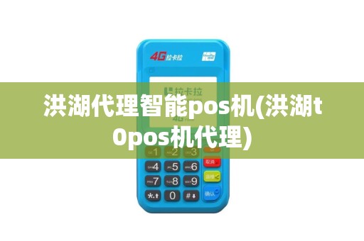 洪湖代理智能pos机(洪湖t0pos机代理)