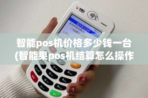 智能pos机价格多少钱一台(智能果pos机结算怎么操作)