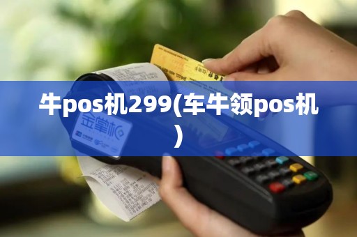 牛pos机299(车牛领pos机)
