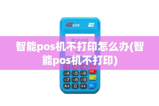 智能pos机不打印怎么办(智能pos机不打印)