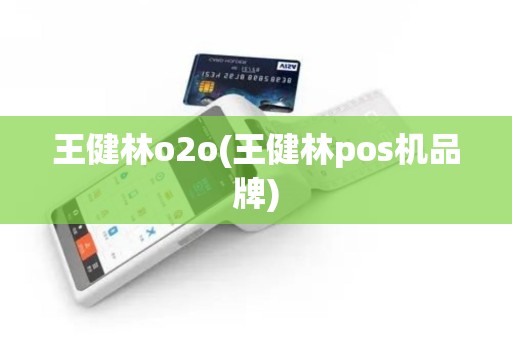 王健林o2o(王健林pos机品牌)