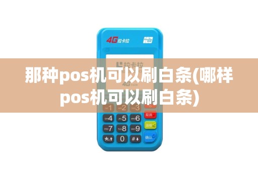 那种pos机可以刷白条(哪样pos机可以刷白条)