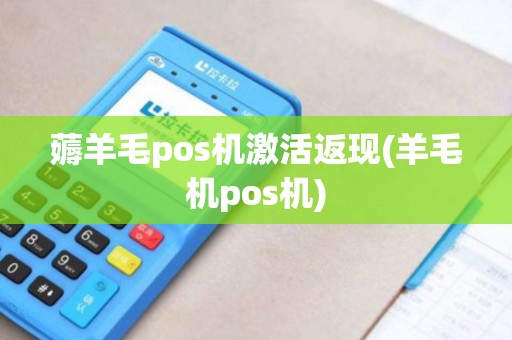 薅羊毛pos机激活返现(羊毛机pos机)