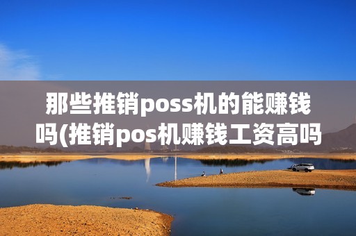 那些推销poss机的能赚钱吗(推销pos机赚钱工资高吗)
