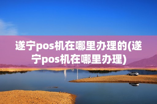 遂宁pos机在哪里办理的(遂宁pos机在哪里办理)