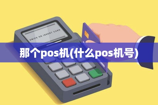 那个pos机(什么pos机号)